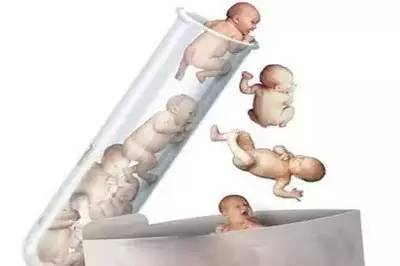 卵子凍結保存